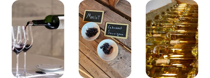 tasting french wines